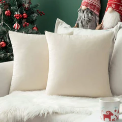Miulee Velvet Pillow Covers Decorative Soft Solid Cushion Case 2 Pack.