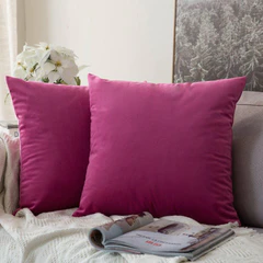 Miulee Velvet Pillow Covers Decorative Soft Solid Cushion Case 2 Pack.