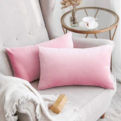 Miulee Velvet Pillow Covers Decorative Soft Solid Cushion Case 2 Pack